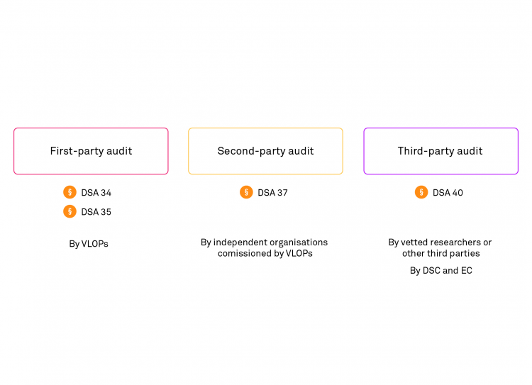 Overview of audit types described in the DSA